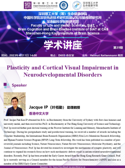 Plasticity and Cortical Visual Impairment in Neurodevelopmental Disorders